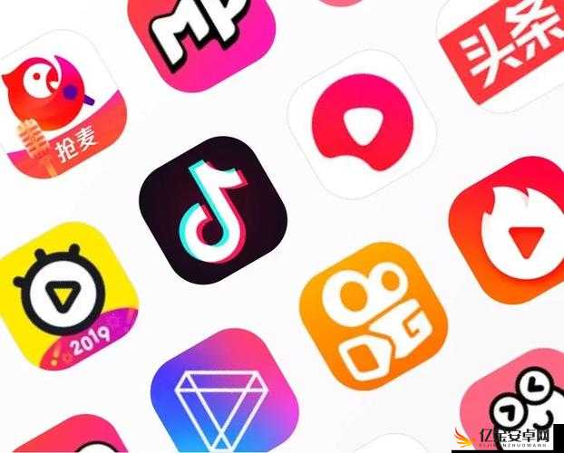 哔哩哔哩富二代 APP：一款深受年轻人喜爱的多元化应用平台